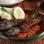 Ikan lele/ INSTAGRAM 