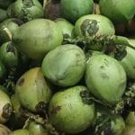 Buah kelapa muda  