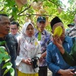 Festival beIimbing jingga digelar untuk mengenalkan kembali buah unggulan Kabupaten Jepara.