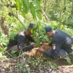 Aksi Tanam Pohon sebagai Upaya Bersama Menjaga Keseimbangan Ekosistem di Pati