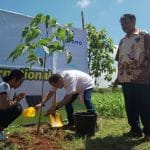 Kegiatan Penghijauan Universitas Safin Pati: Upaya Tanggung Jawab Sosial Bersama PT Nojorono Tobacco Internasional