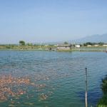 Fraksi Golkar: Sektor Perikanan Pati Butuh Perhatian Lebih