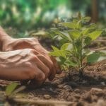 Otw Musim Hujan, Anggota DPRD Pati Narso Dorong Gerakan Penghijauan