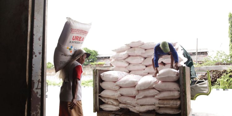 Pupuk Indonesia Catat 27.092 Transaksi Pupuk Subsidi Awal Tahun 2025