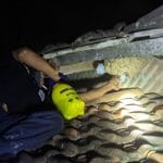 Satpol PP Pati Tangani 97 Kasus Evakuasi Hewan Liar Sepanjang 2024