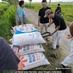 Bulog Pati Beli Gabah Petani Sesuai HPP, Jaga Stabilitas Harga dan Stok Pangan