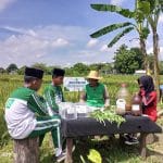 Siswa MTs Tarbiyatul Banin Sukses Kembangkan Pupuk Hayati, Bantu Petani Tingkatkan Hasil Panen