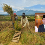 DPRD Pati Dorong Petani Terapkan Pemupukan Berimbang untuk Optimalkan Hasil Panen