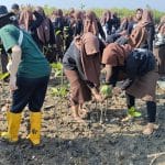 Siswa MA Salafiyah Kajen Tanam 2.000 Bibit Mangrove di Pesisir Pantai