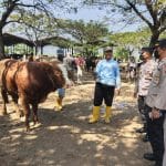 Ancaman PMK Masih Mengintai, DPRD Pati Desak Percepatan Vaksinasi