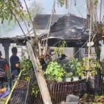 Rumah di Kelurahan Winong, Pati, Dilalap Api Sabtu Pagi