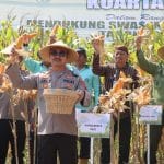 Kabupaten Pati Incar 180 Ribu Ton Jagung, Dorong Ketahanan Pangan Nasional