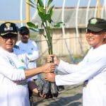 Pemkab Pati Sukses Tanam Ribuan Bibit Mangrove di Hari Lingkungan Hidup