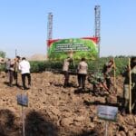 Tanam Jagung Secara Serentak, Polresta Pati Wujudkan Ketahanan Pangan Nasional