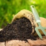 Wakil Ketua DPRD Pati Dorong Pemanfaatan Sampah untuk Pupuk Organik