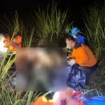 Identitas Mayat di Ladang Tebu Desa Mulyoharjo Terungkap, Korban Tuna Wicara