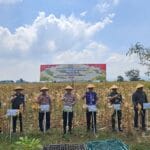 DPRD Pati Apresiasi Panen Raya Jagung, Harapkan Sinergi Berkelanjutan untuk Ketahanan Pangan