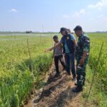 Polisi Imbau Warga Tak Gunakan Listrik untuk Jebak Hama Setelah Insiden Maut di Juwana