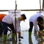 Aksi “Mageri Segoro 2025”, Bupati Pati Tanam Mangrove Bersama Forkopimda di Pantai Banyutowo