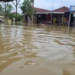 Tanggul Jebol, Dua Desa di Batangan Pati Terendam Banjir: 700 Rumah Warga Terdampak
