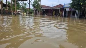Tanggul Jebol, Dua Desa di Batangan Pati Terendam Banjir: 700 Rumah Warga Terdampak