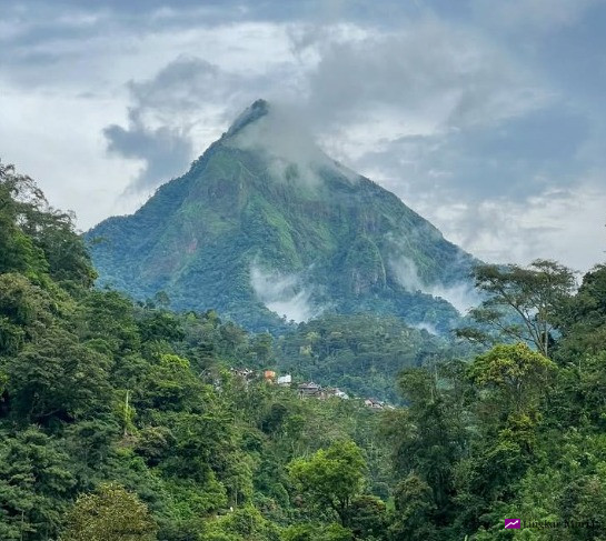 Wacana Taman Hutan Raya Muria Menguat: Benteng Konservasi dan Pusat Ekonomi Hijau Masa Depan