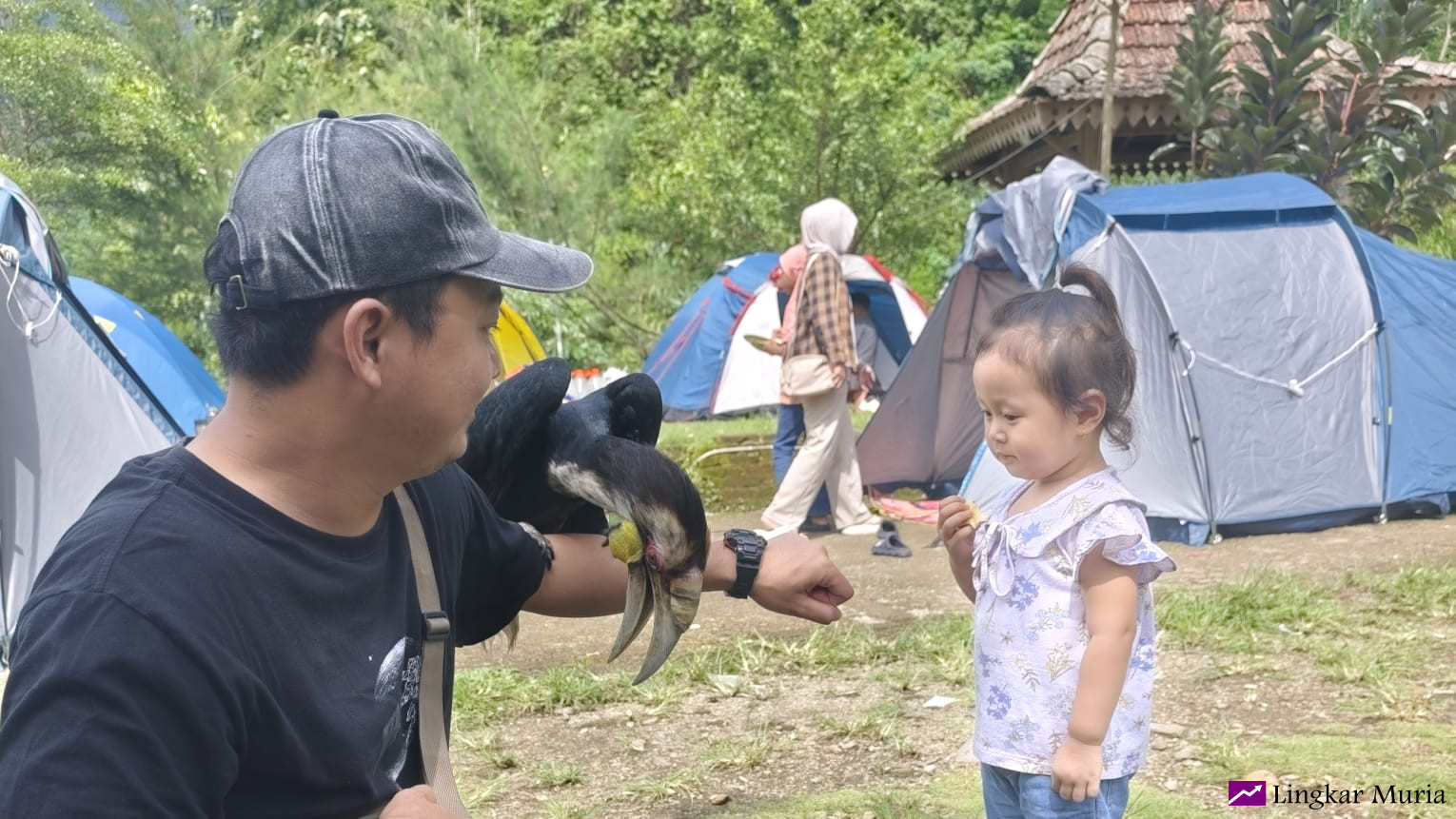 Kampoeng Kopi Camp : Tempat Detoks Digital dengan Pesona Alam dan Satwa Langka
