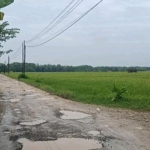 Beberapa Ruas Jalan di Pati Rusak Akibat Hujan Deras, DPUTR Siapkan Perbaikan Tahun Ini