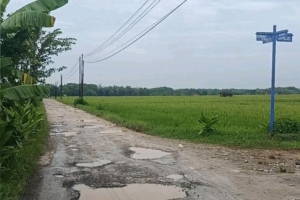 Beberapa Ruas Jalan di Pati Rusak Akibat Hujan Deras, DPUTR Siapkan Perbaikan Tahun Ini