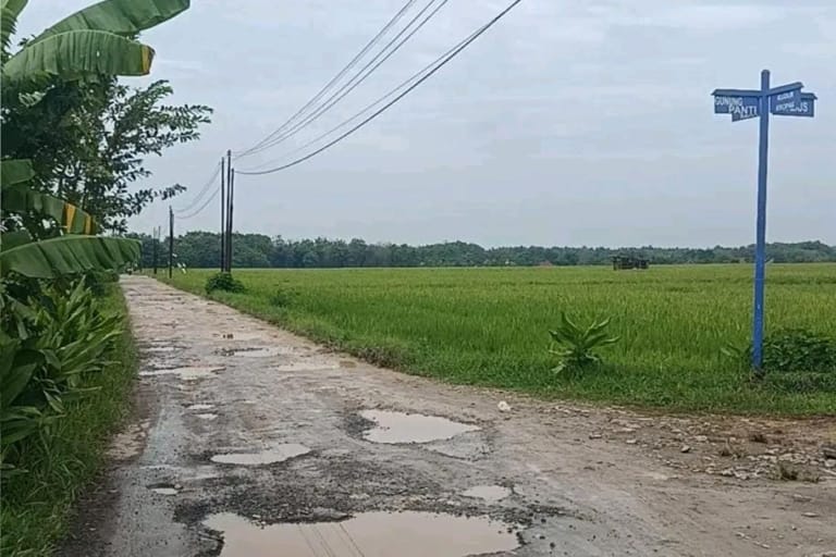 Beberapa Ruas Jalan di Pati Rusak Akibat Hujan Deras, DPUTR Siapkan Perbaikan Tahun Ini
