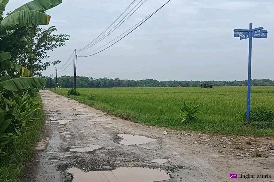 Beberapa Ruas Jalan di Pati Rusak Akibat Hujan Deras, DPUTR Siapkan Perbaikan Tahun Ini