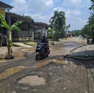 Jalan Rusak Ditanami Pisang : Wakil Ketua DPRD Pati Desak Percepatan Perbaikan