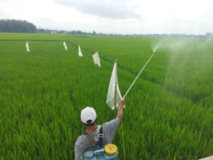 DPRD Pati Dorong Pentingnya Regenerasi Petani