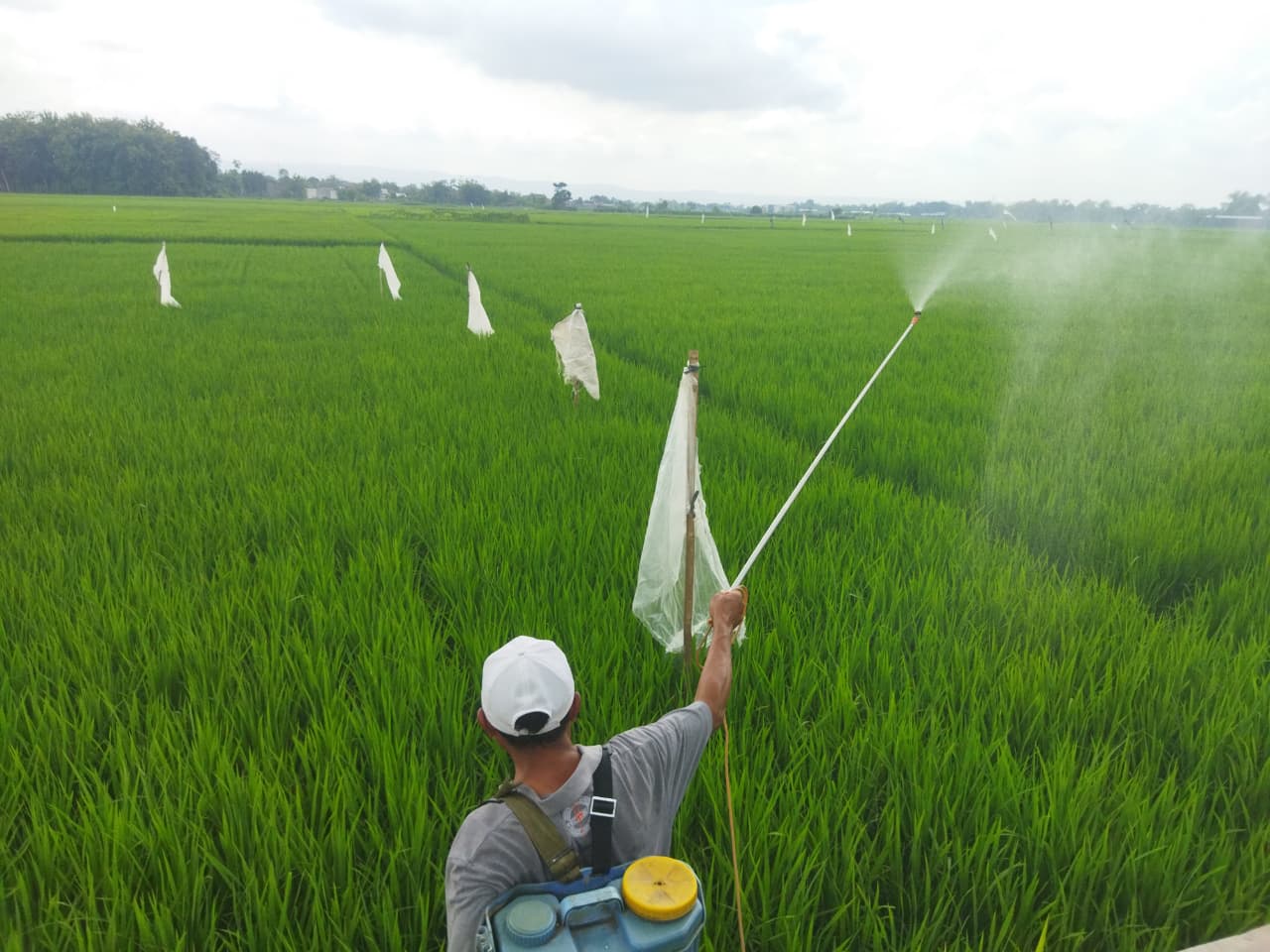 DPRD Pati Dorong Pentingnya Regenerasi Petani