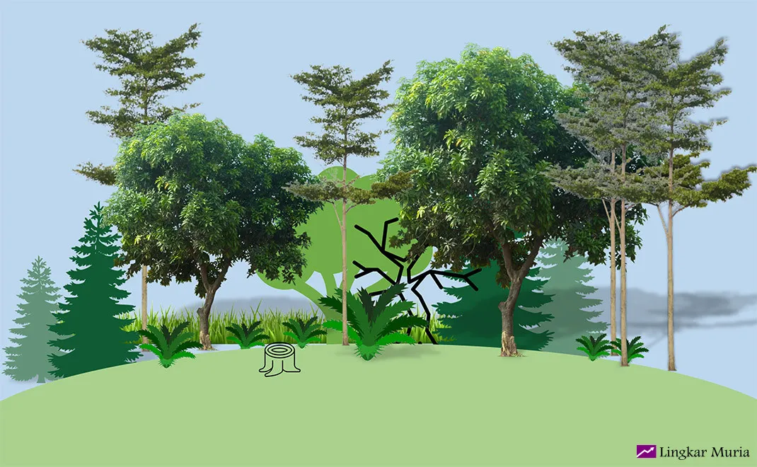 DPRD Pati Soroti Pengelolaan Lahan Hutan Sosial Harus Seimbang Antara Ekonomi dan Kelestarian