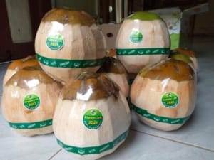 DPRD Pati Dorong Pemkab Perkuat Pembinaan Sektor Tanaman Buah