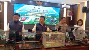 Ungkap Jalur Peredaran dari Papua, Polda Jateng Selamatkan 18 Burung Kasturi Kepala Hitam di Juwana