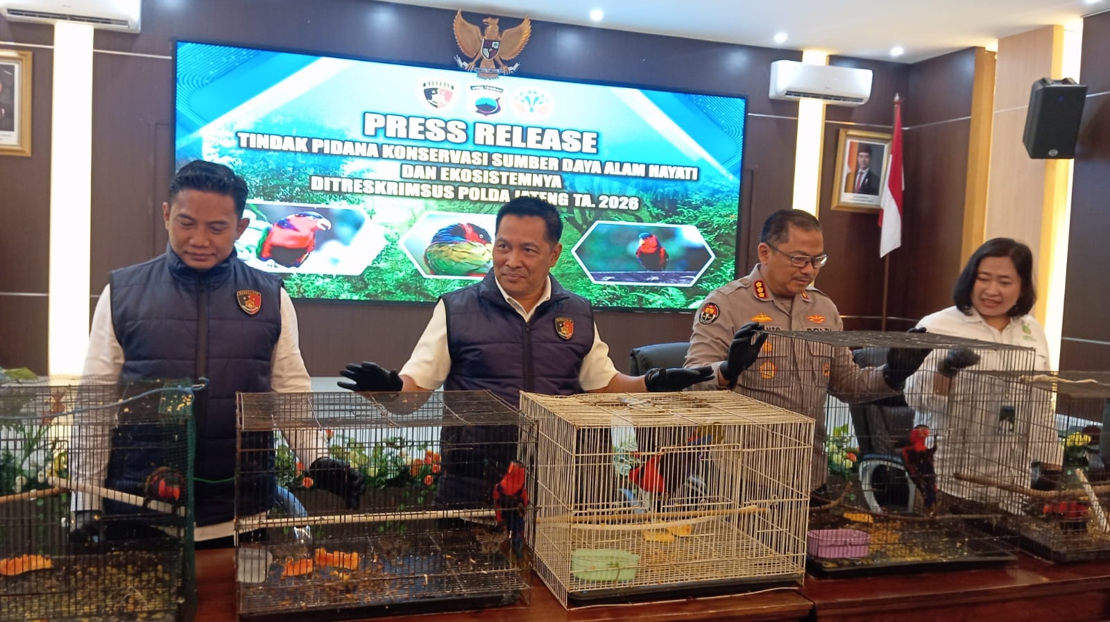 Ungkap Jalur Peredaran dari Papua, Polda Jateng Selamatkan 18 Burung Kasturi Kepala Hitam di Juwana