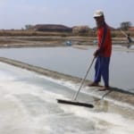 Optimalisasi Potensi Garam, DPRD Pati Minta Pemkab Buat Program Khusus Perbaikan Fasilitas