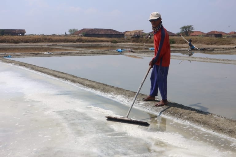 Optimalisasi Potensi Garam, DPRD Pati Minta Pemkab Buat Program Khusus Perbaikan Fasilitas