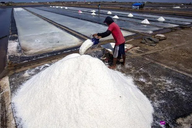 Optimalisasi Potensi Garam, DPRD Pati Minta Pemkab Buat Program Khusus Perbaikan Fasilitas