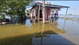 DPRD Pati Desak Pemerintah Daerah Berikan Bantuan Nyata bagi Petani Tambak Terdampak Banjir Rob