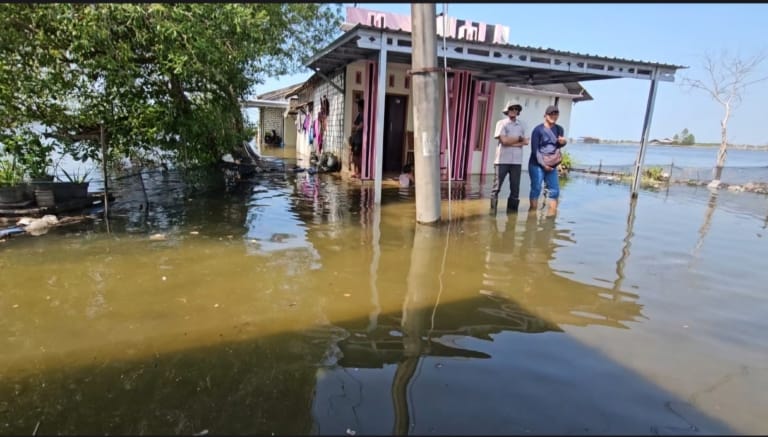 DPRD Pati Desak Pemerintah Daerah Berikan Bantuan Nyata bagi Petani Tambak Terdampak Banjir Rob