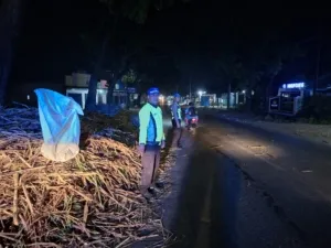 Kecelakaan Maut di Jalan Pati-Tayu Desa Sidomukti, Truk Diduga Patah Per Skok, Dua Orang Meninggal