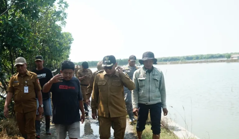 Pemprov dan Pemkab Pati Bergerak Tangani Rob Tunggulsari, Tanggul Jebol Jadi Prioritas