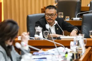 Edy Wuryanto Pertanyakan Efisiensi Anggaran Kemenkes yang Sasar Program Prioritas Masyarakat