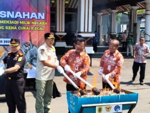 Bea Cukai Musnahkan 1,37 Juta Batang Rokok Ilegal di Pati, Kerugian Negara Rp1,33 Miliar Berhasil Dicegah