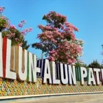 Bunga Tabebuya Mekar di Alun-Alun Pati, Pemkab Bagikan 250 Bibit Gratis