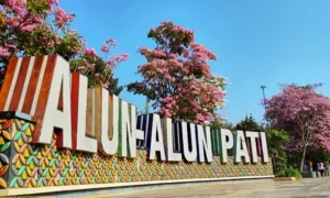 Bunga Tabebuya Mekar di Alun-Alun Pati, Pemkab Bagikan 250 Bibit Gratis